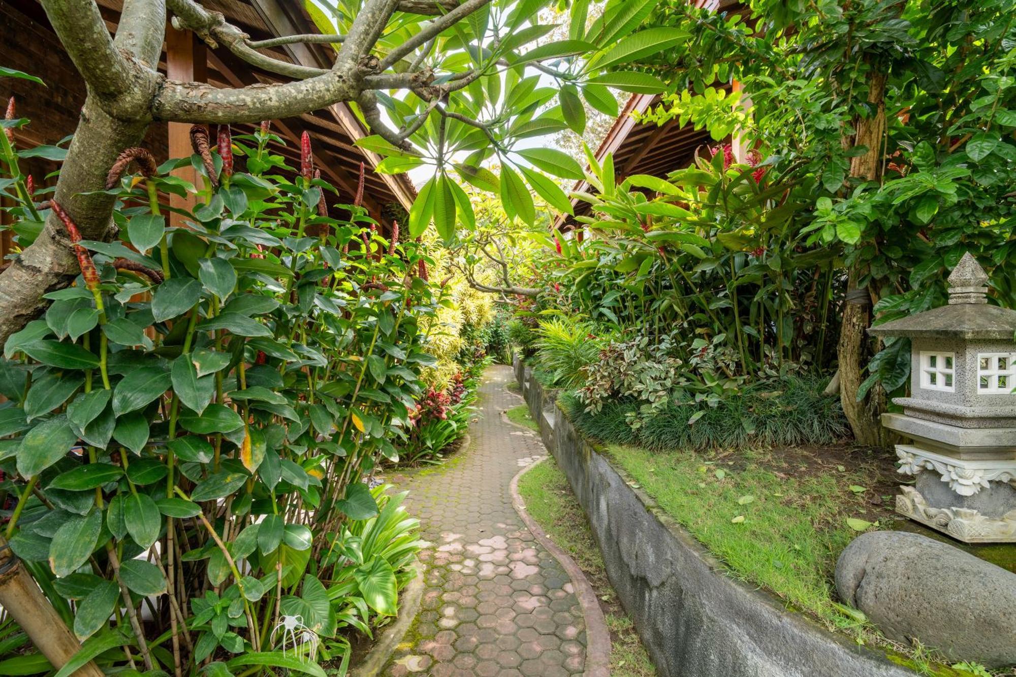 Jinar Guest House 坎古 外观 照片